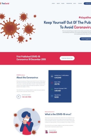 新冠病毒知識(shí)宣傳網(wǎng)站模板-Toy模板網(wǎng)編號(hào)6013